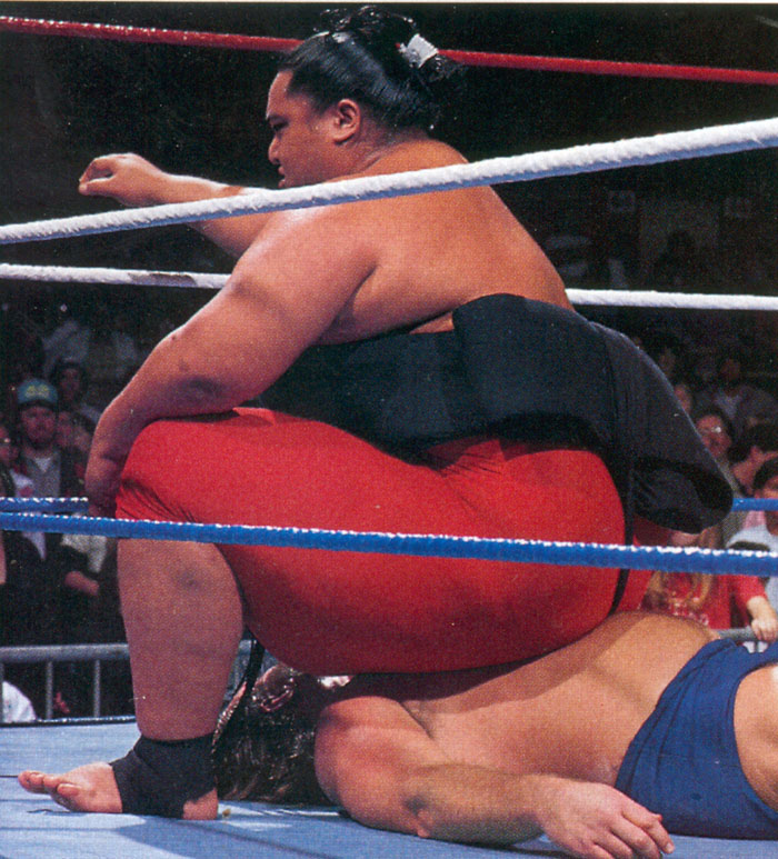 Yokozuna-Meme-04.jpg