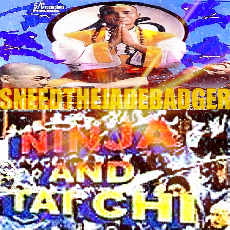 TaiNinja Promo drft1.jpg