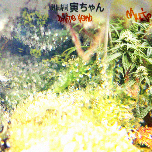 Divine Herb cover.jpg