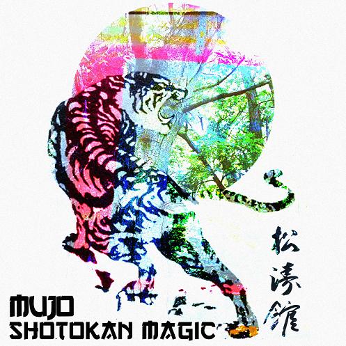 Shtkn mgc Cover1.JPG
