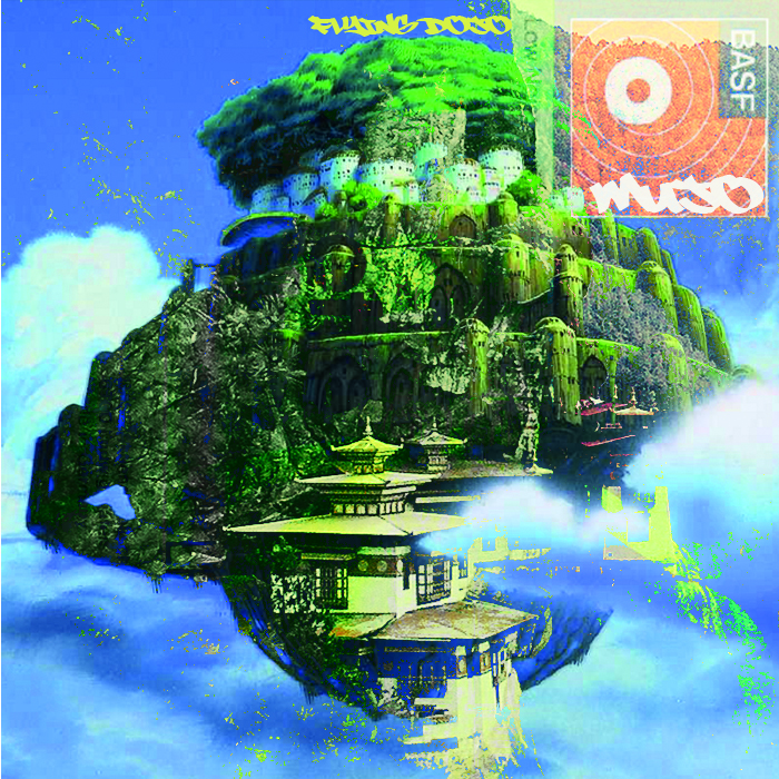 flying dojo.jpg