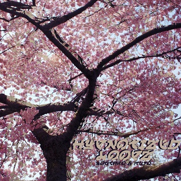 Hypnotized Loopz cover.jpg
