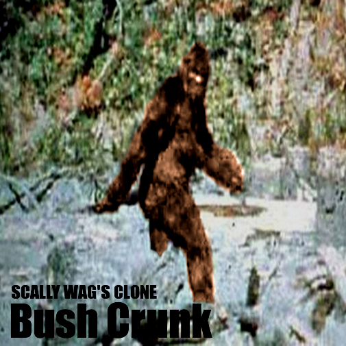 COVER.jpg