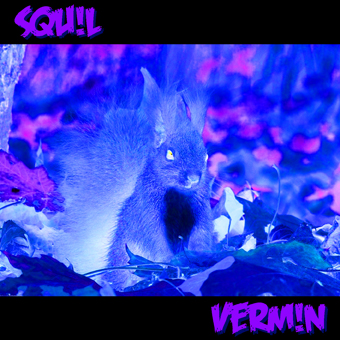 VERM!N-cover-web.jpg