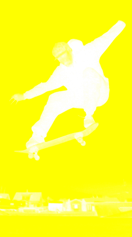 ollie2.png