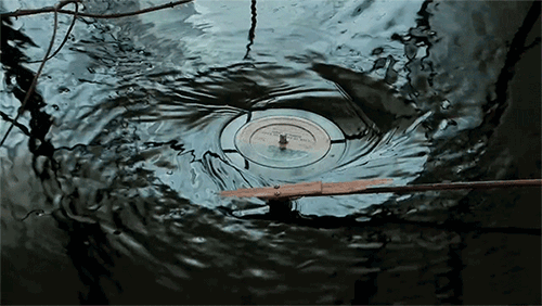 http%3A%2F%2F33.media.tumblr.com%2F005fede5a2ca73829c8ae0b14e3d76a1%2Ftumblr_n0ujnsaZTY1qz6f9yo1_500.gif