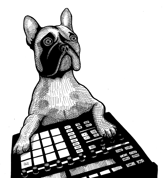 5XVT dogb.png
