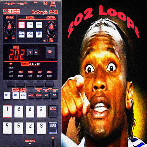 202 Loops2.png