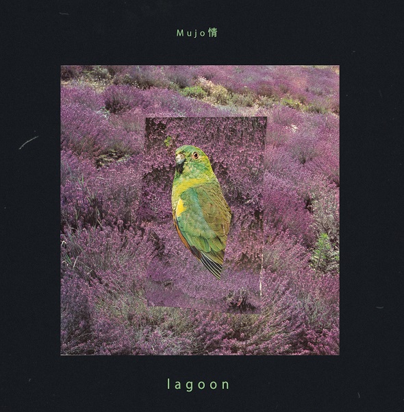 lagoon cover.jpg