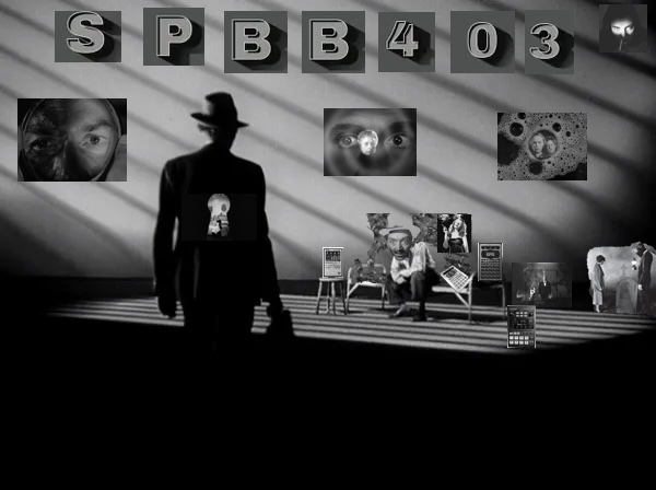 spbb4032.0 copy.jpeg