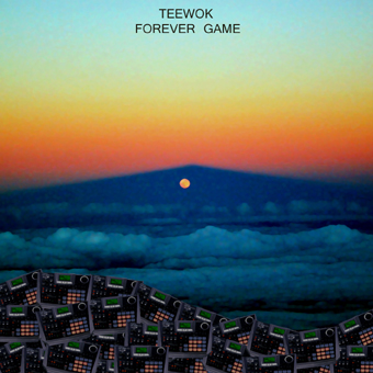 forevergame_frontsmall.jpg
