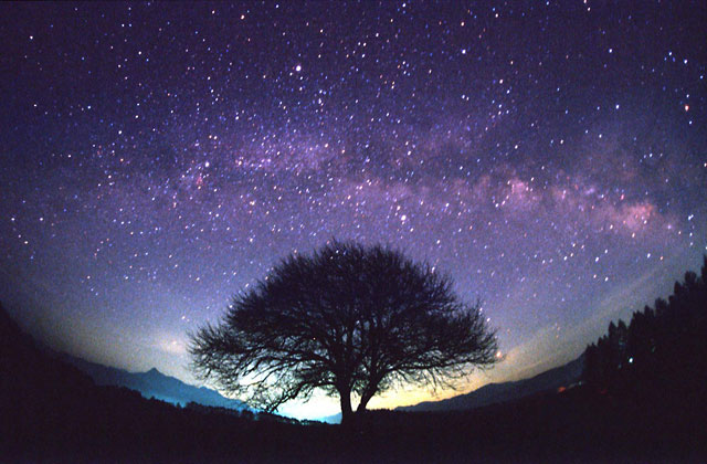 starlit_sky.jpg