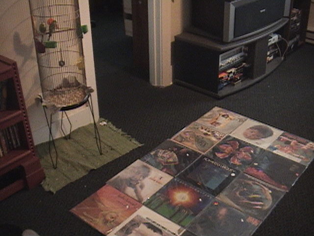 I laid the records out and my parakeets started chirping like crazy. They know whats going on!